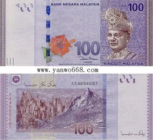 马来西亚币现金买燕窝马来西亚的钱都长成什么样子的