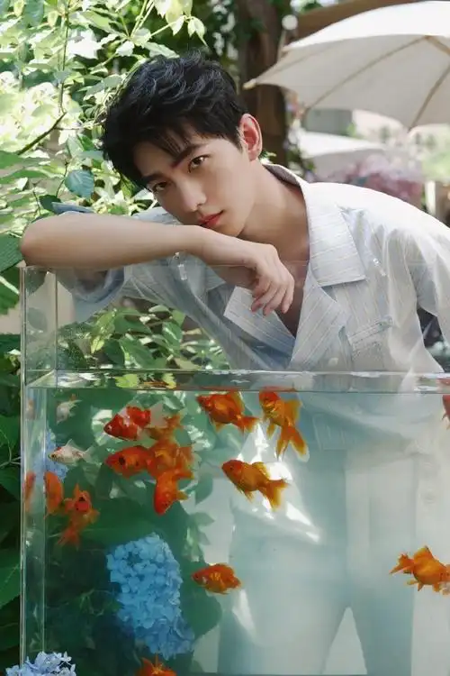 杨洋的出发图自带香味