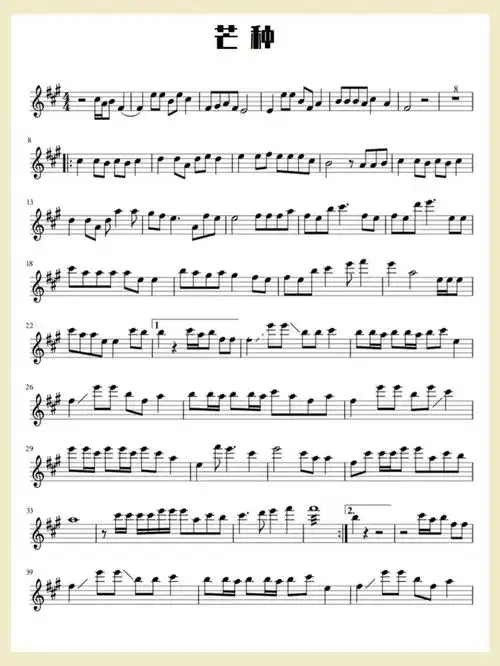 小提琴谱芒种