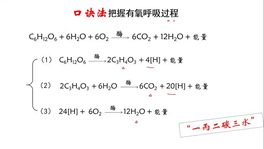 口诀法把握有氧呼吸过程