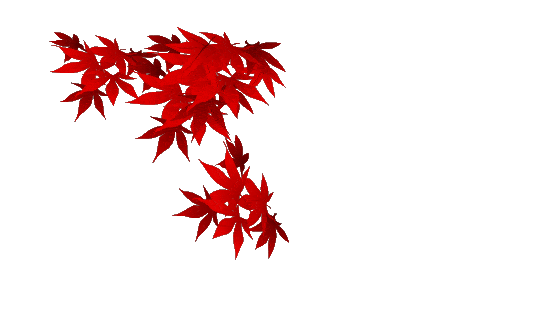 【校园宣传片】学校的样子--牛桥街小学专题纪录片