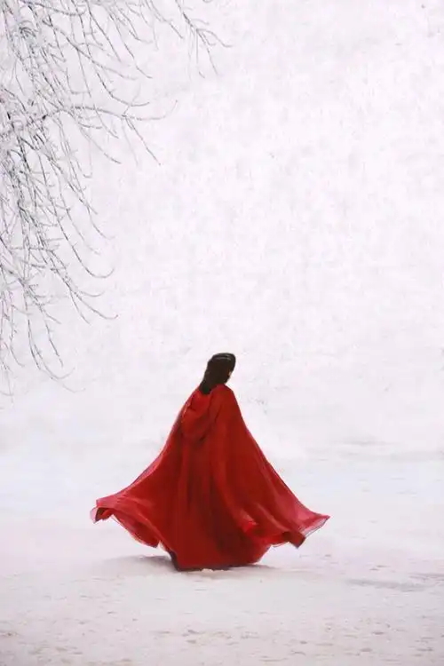 有哪些很美很有意境的红衣白雪的图片