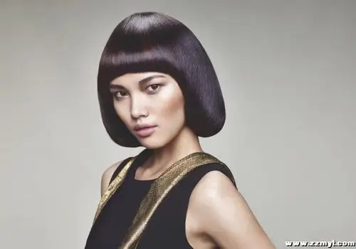 施华蔻专业美发2014作品集metalchic