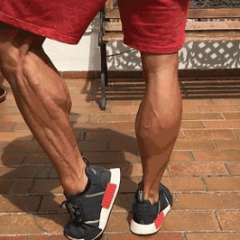 小腿发力后一条一条的 肌肉束显现出来