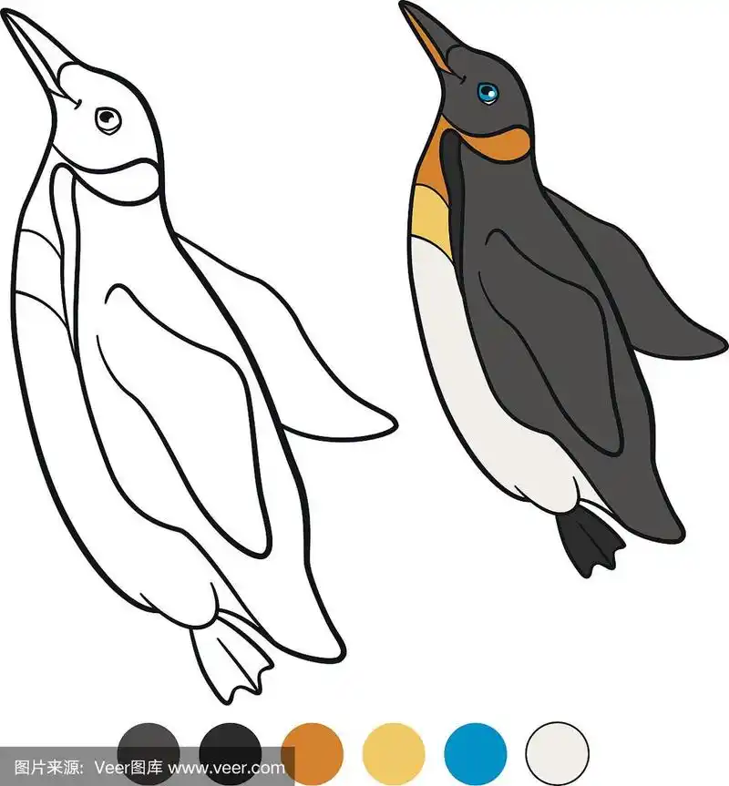 着色页面.可爱的小企鹅游泳.