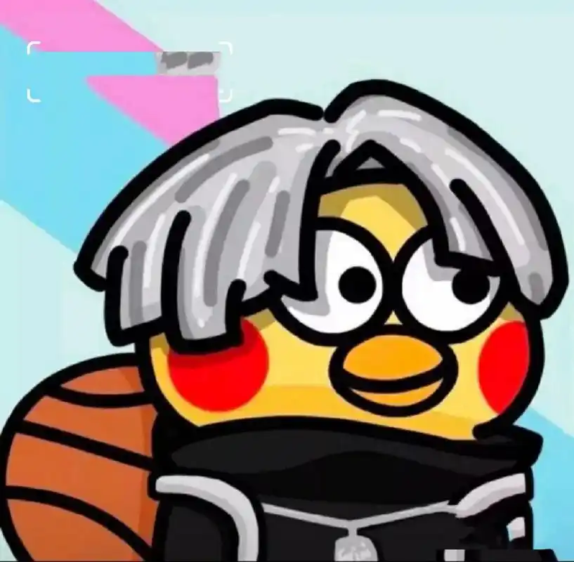 鸡你太美.坤坤头像.