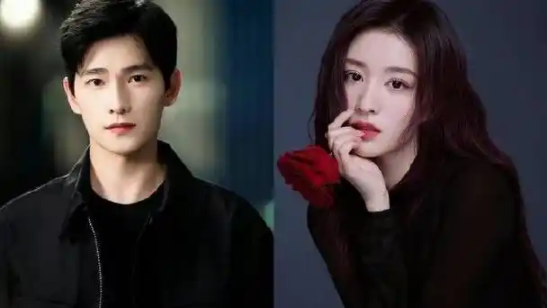 杨洋合作过的11位当红女星