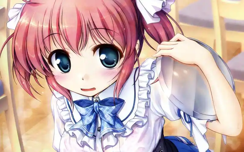 日本成人向美少女游戏大图书馆的牧羊人高清桌面壁纸(二)