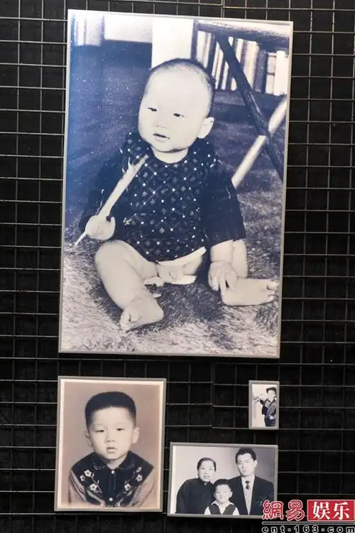 成龙60岁生日宴举行近百名明星捧场走红毯