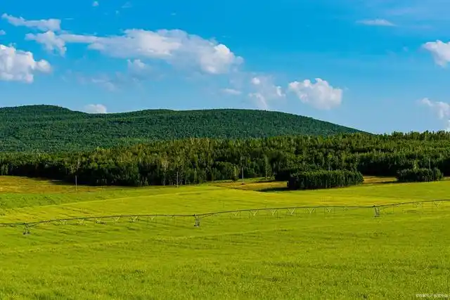 呼伦贝尔草场有八大类草场,主要常见的有山地草甸,山地草甸草原,丘陵