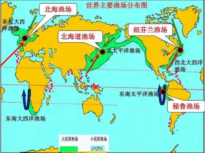 的北海道渔场,英国的北海渔场,加拿大的纽芬兰渔场和秘鲁的秘鲁渔场