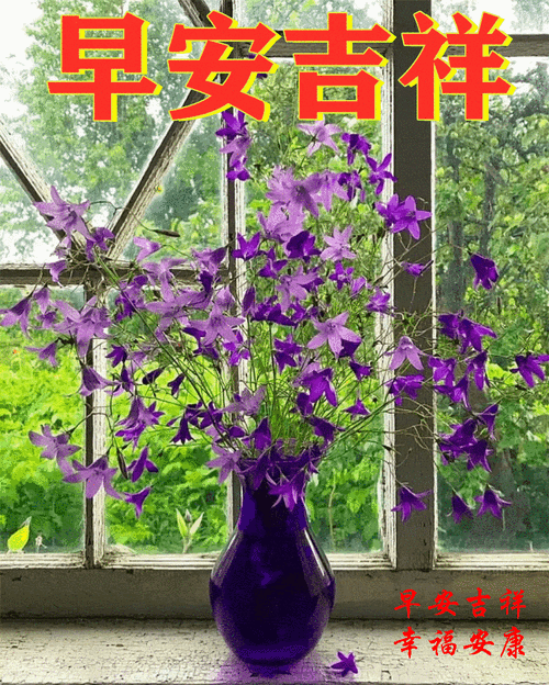 越看越吉祥的早安问候图片,周日致朋友的早安祝福句子