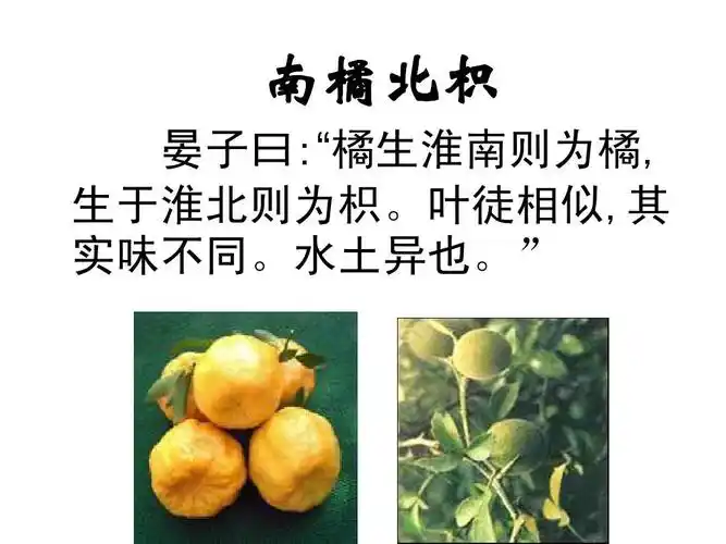 3 气候与人类活动教学课件 (中图版八年级上)ppt