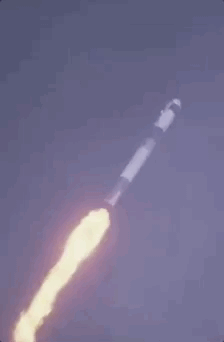 224_342gif 动态图 动图