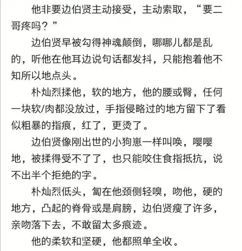 【灿白】樱桃 26