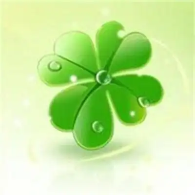 好看的四叶草图片头像四叶草最漂亮图片唯美头像大全