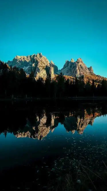 5k手机竖屏分辨率2160x3840湖光山色 森林壁纸