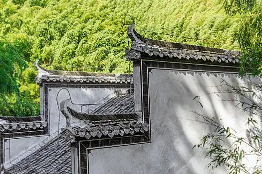 绿色竹林前的白墙黛瓦马头墙