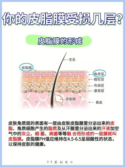 皮脂膜的屏障[一r] 物理屏障也就是我们常听到的屏障结构,存在于表皮