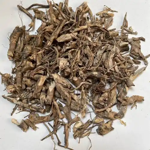 中药材白马骨根