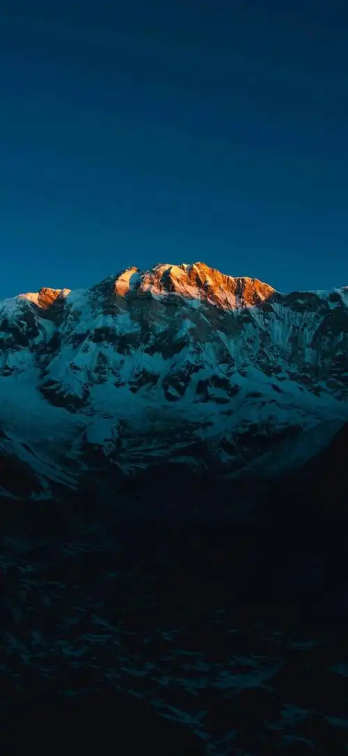 壁纸 桌面 660_1431 竖版 竖屏 手机