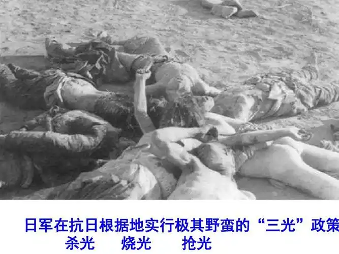 人教版语文八年级上册 课件:第五单元第25课《杜甫诗三首:石壕吏》(共