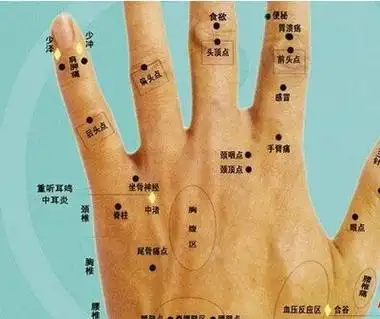 食指内侧长痣代表什么代表家人能够在事业上给你带来帮助痣是怎么形成