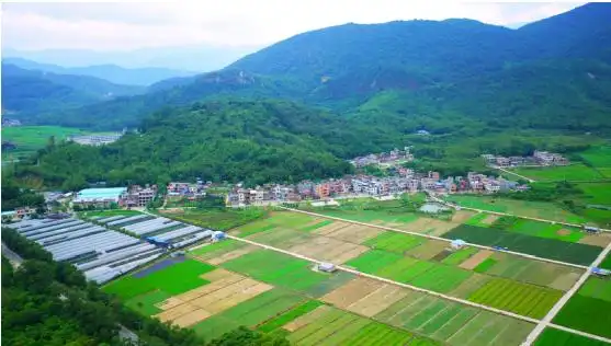 官塘村位于中新镇西北部,东邻泮霞村,里汾村,西接新安村,南接永兴村