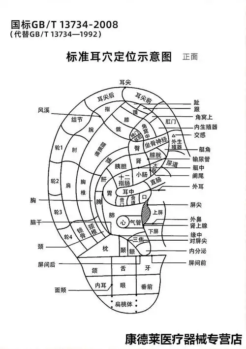 王不留行籽耳穴贴防过敏压丸贴近视耳朵穴位模型学习中医探穴笔耳穴贴