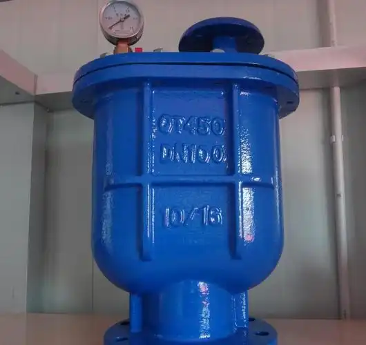 carx复合式排气阀