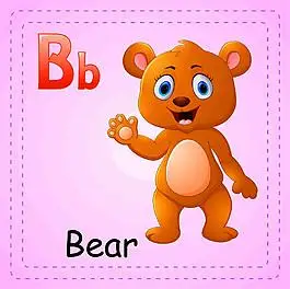 小熊英文单词图片