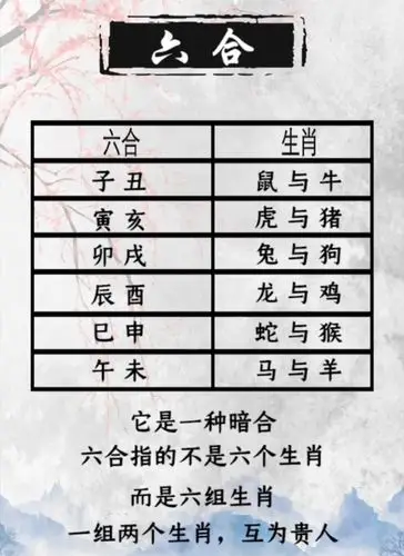 十二生肖相生相克图表