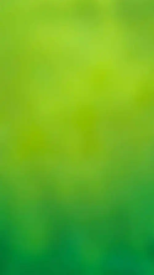 绿色护眼纯色背景