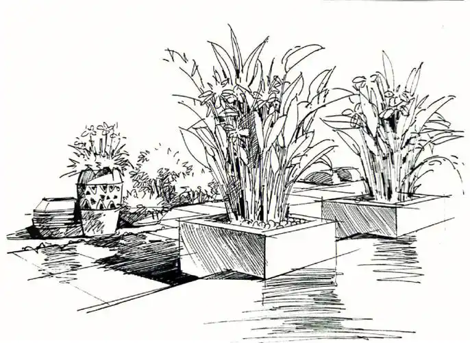 由不同的功能来组织植物在空间里搭配形式,熟悉了植物配置的功能作用