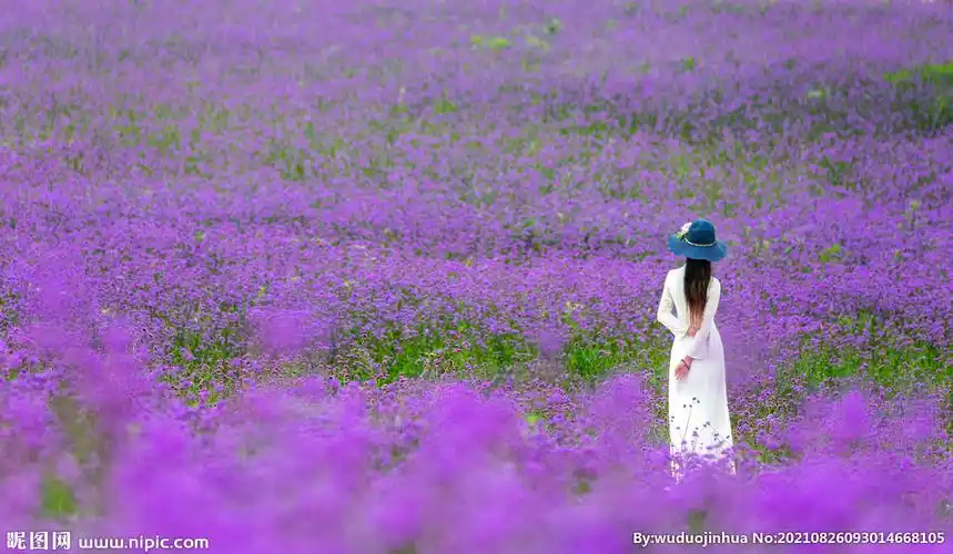 花海里的美女摄影图__自然风景_自然景观_摄影图库_昵图网nipic.com
