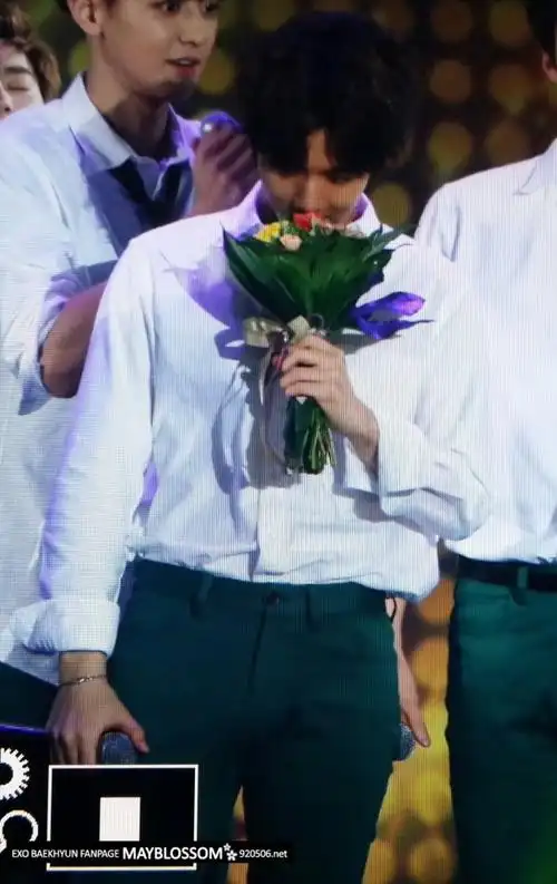 求边伯贤类似这种的带花的图片 最好高清!谢谢