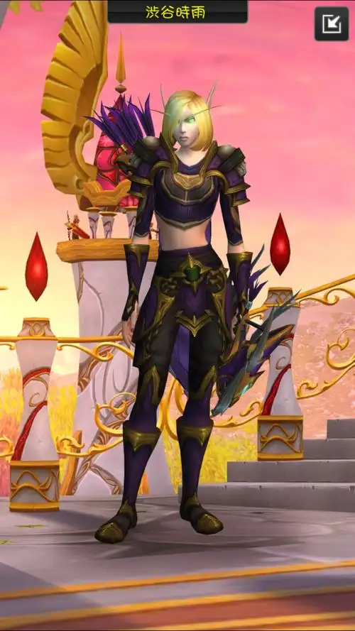 精心搭配的锁甲超性感女血精灵猎人