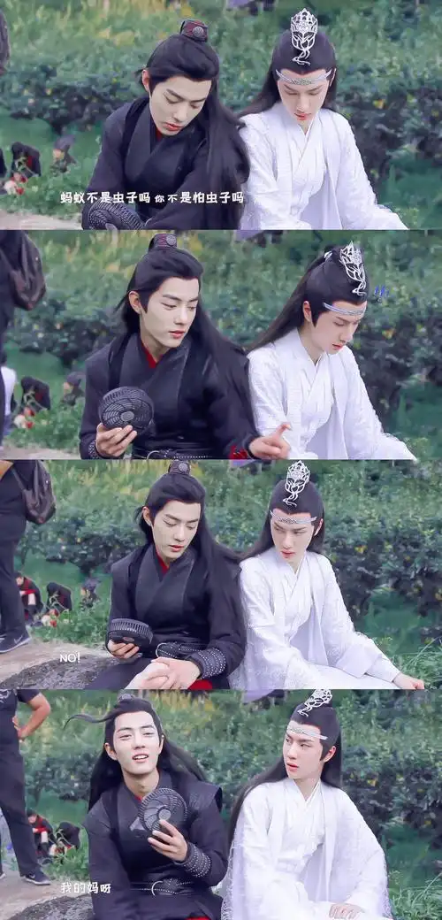 陈情令壁纸肖战王一博