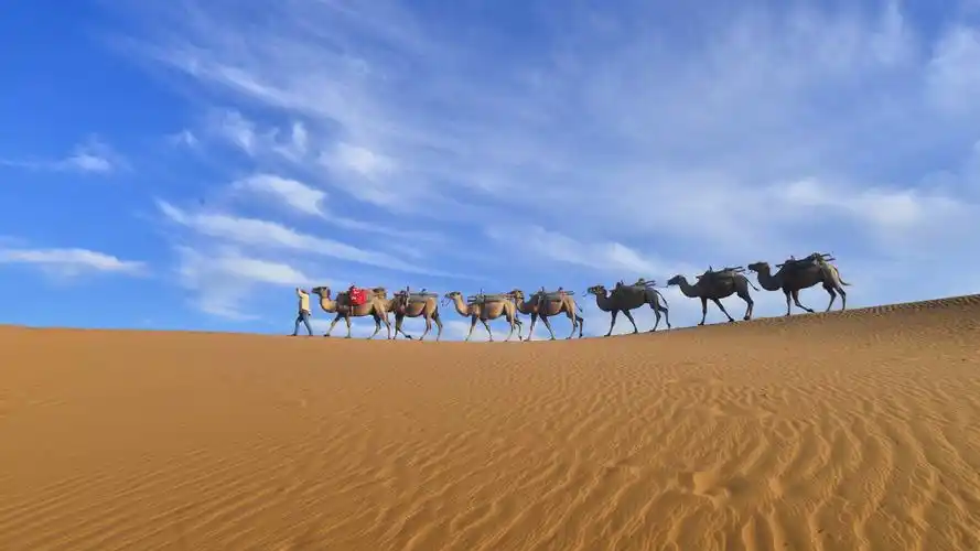 塞上江南,魅力宁夏🏜️ - 美篇