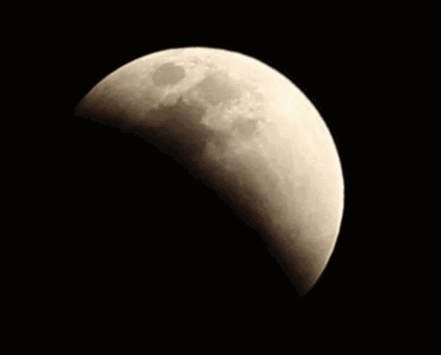 640_515gif 动态图 动图