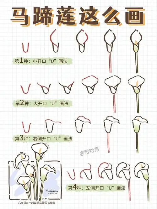 有手就会的花朵简笔画教程,画一束花吧!