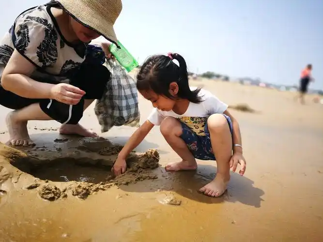 海滩很平缓,沙子很细腻,我们脱了鞋挽起裤管站在海水里,捉小螃蟹,拾
