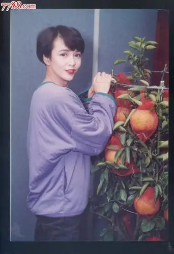 早期原版——郑裕玲-价格:300元-se36295570-老照片-零售-7788收藏
