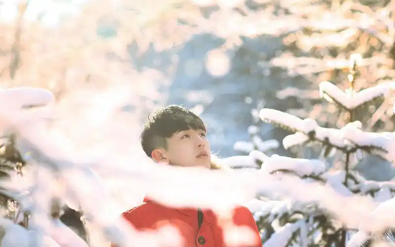 太子妃升职记郭俊辰高清壁纸下载