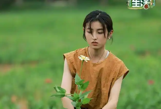 让《向往的生活》收官彻底被打脸|何炅|杨紫|张艺兴|张子枫|真人秀