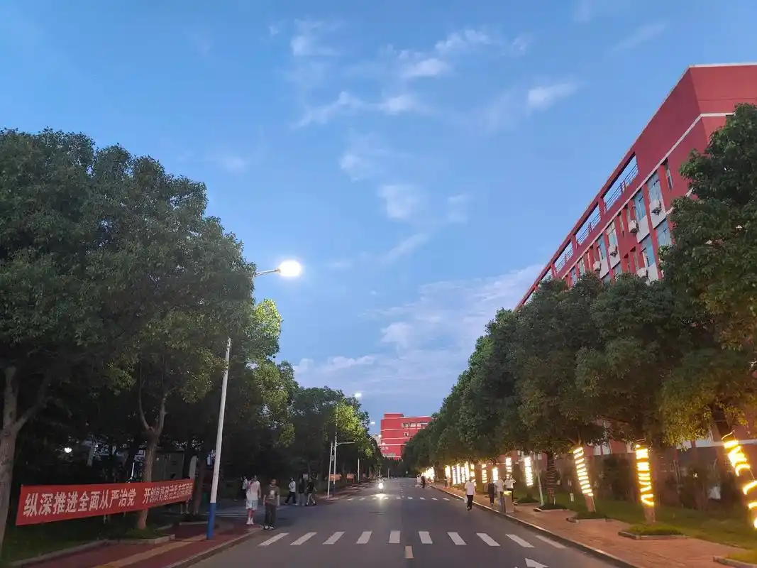 漫步在南师院的林荫小道上,感受学习后的宁静#学校风景 #学校 - 抖音