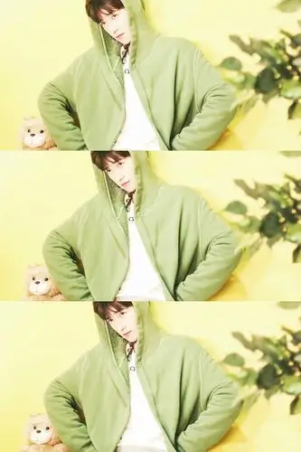 杨洋 拼图 暖色调真的是萌cry - 堆糖,美图壁纸兴趣社区