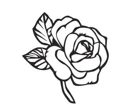 花画图片大全简笔画 - 搜狗图片搜索