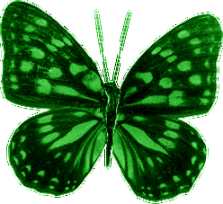 gif动图制作音画溶图花蝴蝶素材