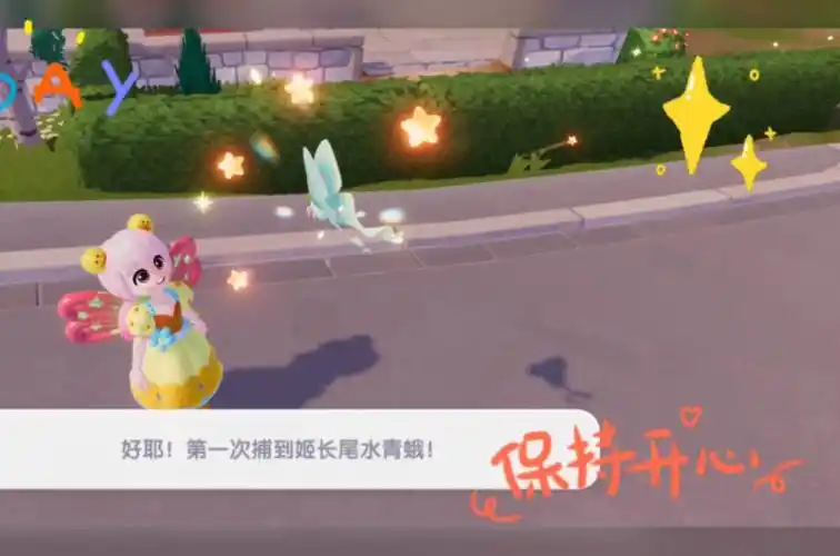 心动小镇捕捉姬长尾水青蛾位置分享